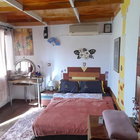 Vlassis Apts -μελιδονι-διαμερισμα βασιλικη Apartment